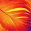 cedarphoenix.ca
