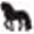 windancerranch.com