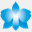 oncidium-life.org