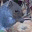 outwalkingthedog.wordpress.com
