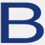 bpobasics.com