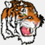 beotiger.com