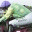 fivechevaux.wordpress.com