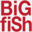 bigfish.com.au