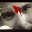 maximummma.wordpress.com
