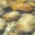 parkellis.wordpress.com