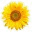 msacblog.wordpress.com
