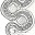 ladacosoutache.wordpress.com