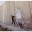 almadinaexperience.wordpress.com
