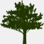 calloftheforest.ca