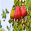 myanhan.com