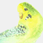 paperkeet.com