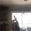 cheerislegit.tumblr.com