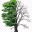 seeminglyfruitful.wordpress.com