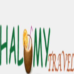 halomytravel.com