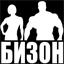 bizon.by