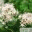 nganlangdong.wordpress.com
