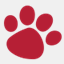 whatpetsneed.com