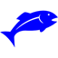 bigfishpayroll.com