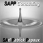 sappconsulting.ch