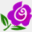 flowertubb.com