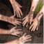 promisingdialogues.wordpress.com