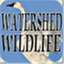 watershedwildlife.wordpress.com