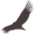 sitecondor.com