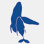 whaletrust.org