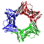 wikipeptide.com