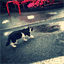 pilotfish.hateblo.jp