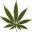 marijuananewsandreviews.com