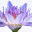 dallasyogatherapy.com