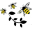 busybeeblessings.wordpress.com