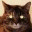 catjenkins.com
