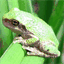 rcompanion.org