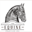 theequinepractice.com