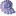 molluscan-science.org