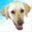 boranet.nankur.com