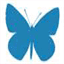 strokeaids.com