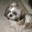fluffnco.wordpress.com