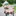 twincycle.org