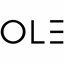 outlashextensions.com