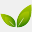 greensesang.com