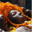 tihar.wordpress.com
