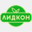 lidkon.com