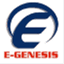 egenesissoftware.wordpress.com