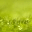 vineethoffline.wordpress.com
