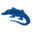 blue-alligator.com