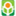 ch.anhf.org.au